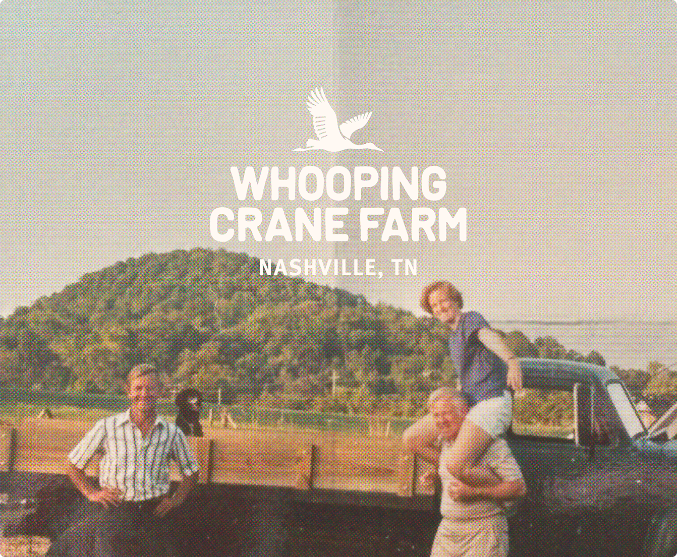 Lucy Jacobson Product Designer